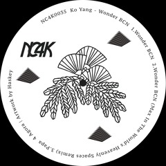 PREMIERE : Ko Yang - Wonder BCN (Original Mix)