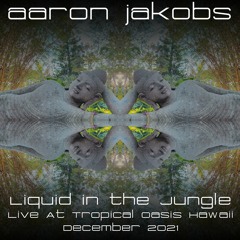 Aaron Jakobs Liquid dnb Tropical Hawaii 2021