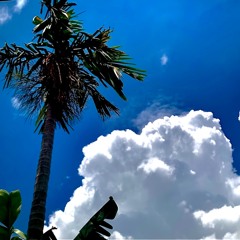Tương Tư Em