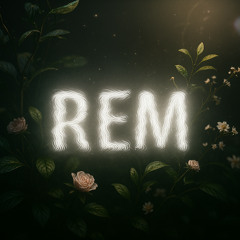 REM 004.
