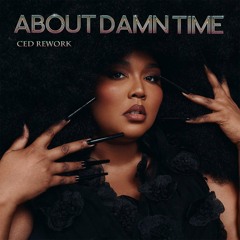 Lizzo - About damn time (Ced ReWork)