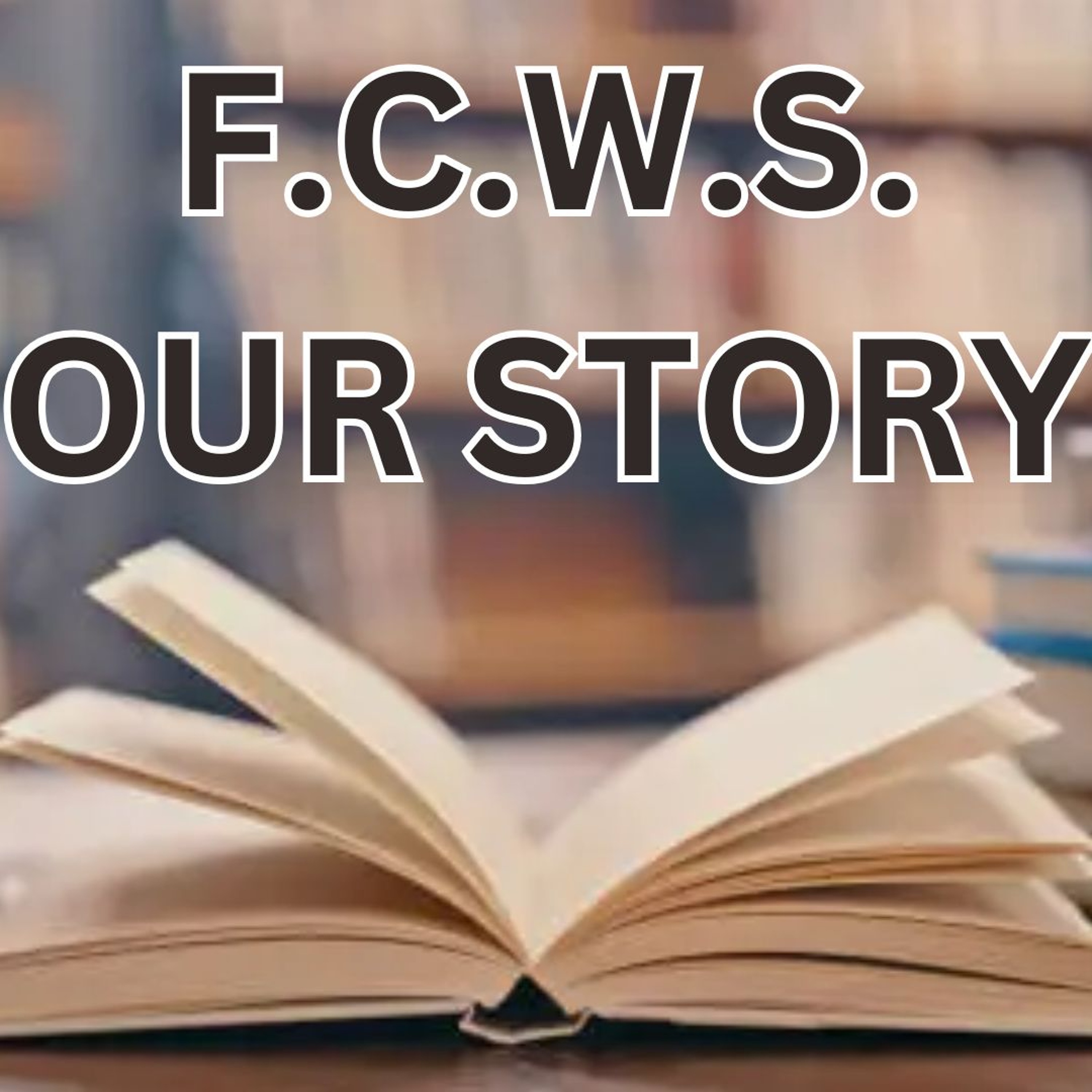 FCWS Our Story - Kyle and Jason - St Raphael's School episode artwork