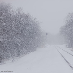 The Snowfall of Your Grace