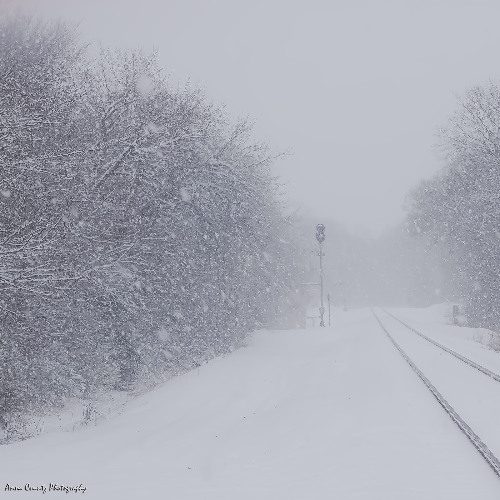 The Snowfall of Your Grace