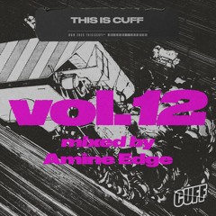 CUFF338: VA - This Is CUFF Vol. 12 (Mixed By Amine Edge)