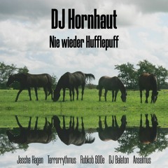 DJ Hornhaut - Deutsche (Anselmus Remix)