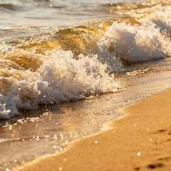 Тёплые волны океана