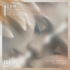 U&M (Extended remix)