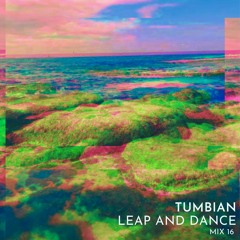 Leap & Dance Mix 16