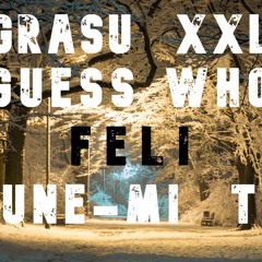 Grasu XXL & Guess Who -&Feli - Spune-Mi Tot | GABRISSO REMIX