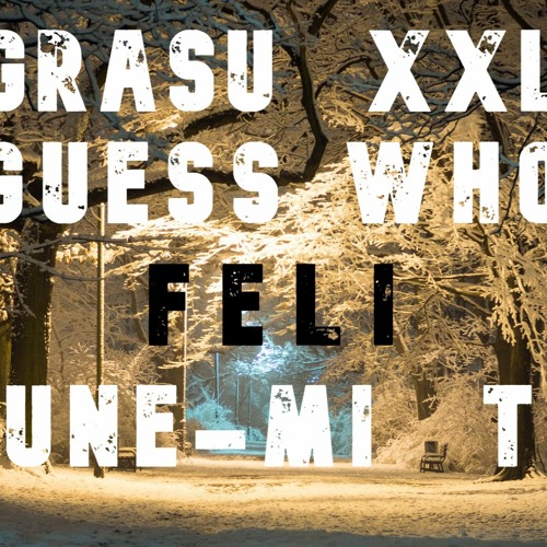 Stream Grasu XXL & Guess Who -&Feli - Spune-Mi Tot | GABRISSO REMIX by  GABRISSO | Listen online for free on SoundCloud