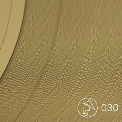 Embodiment 030 - Cardo