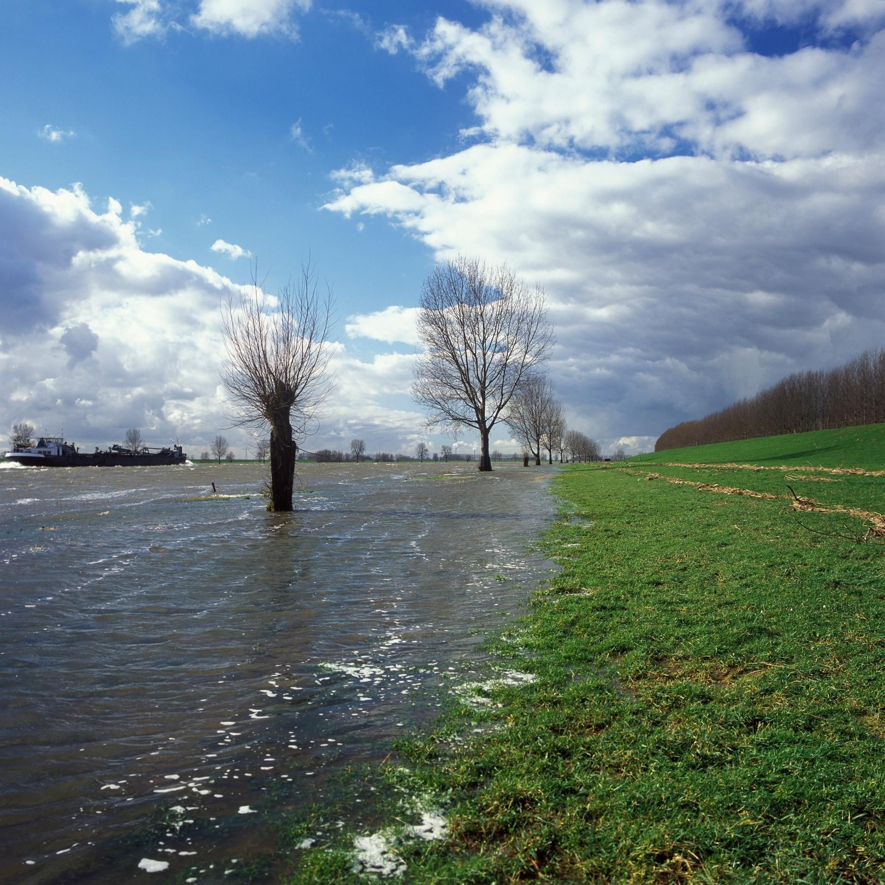 Rijkswaterstaat