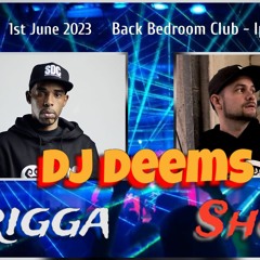 DJ Deems feat. MC Trigga + Harry Shotta LIVE SET!