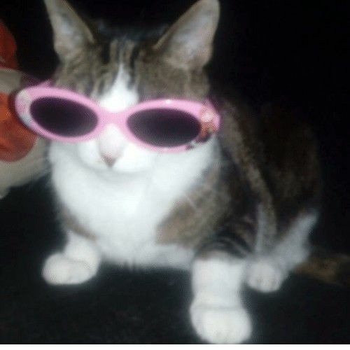 Dark Beach [sped up + reverb]