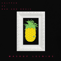 Calypso Vs Bad And Bouje Mashup