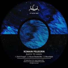 PREMIERE: Romain Pellegrin - Moonlight (Original Mix) [EP Digital Music]