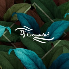 A.R. Rahman - The Humma Song (DJ CrossWind Remix)