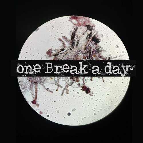 Fed. - One Break A Day(version 2)