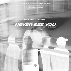 TWOFLAGS, Bad Habits & MusicByDavid - Never See You (ft. Liam Sturgess)(BETASTIC Remix)