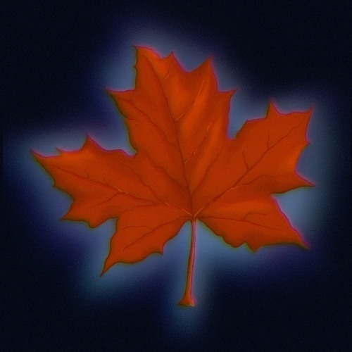Slow In October