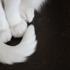 xøFADE! - Not That Guy