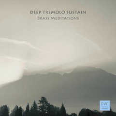 Deep Tremolo Sustain - Brass Meditations Pt. 1
