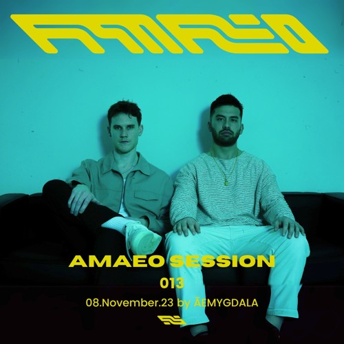 Session 013 - ĀEMYGDALA