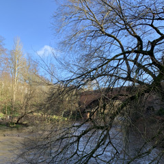 Psalm 22 v 21-24 (Kilmarnock)