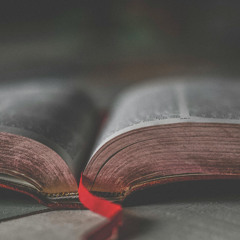 17.08.2025 (Evening) - The Parables of Jesus Part 4