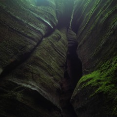 Kust - Przedwiośnie