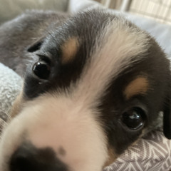 Dont do long distance