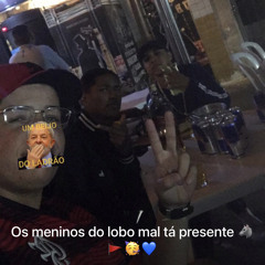 MC COPINHO - VAI VIRAR A COMIDA DO LOBO (RH DU TREM BALA & DJ RD DA PENHA)