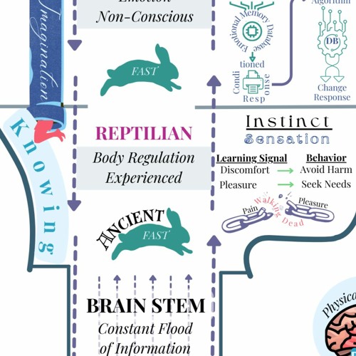 Stream episode PART I: Reptilian Brain... Sensation & Instinct by Laura ...