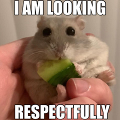 funny drunk thing for guy