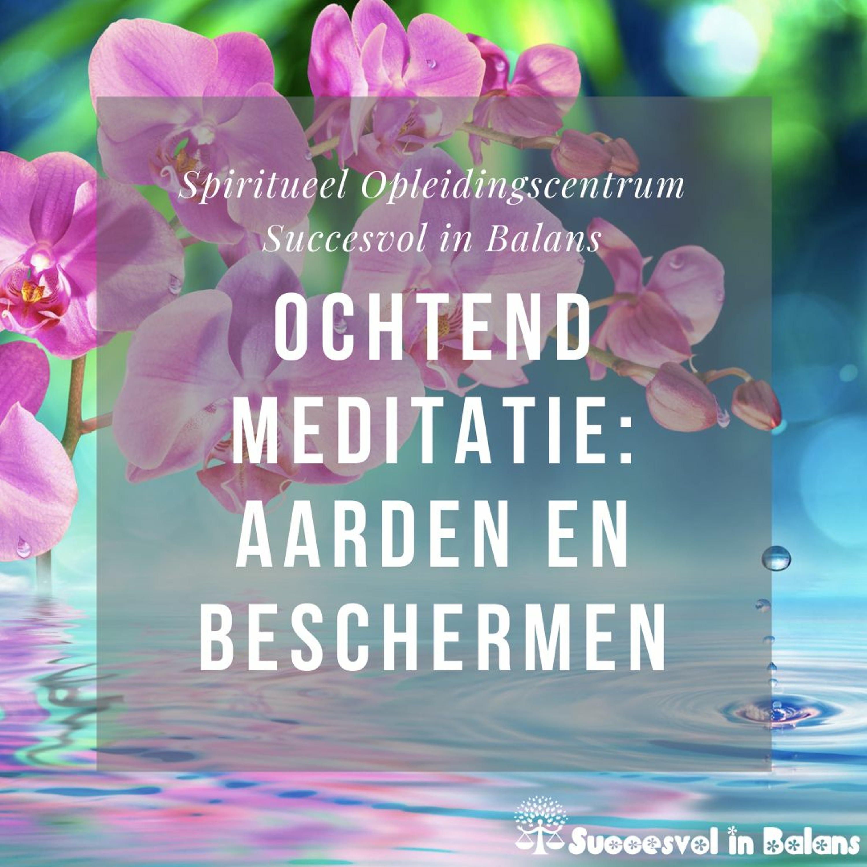 Succesvol in Balans