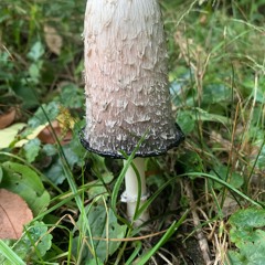 Equipment Malfunction Audio Story Mixdown