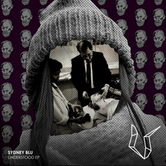 Understood (Original Mix)
