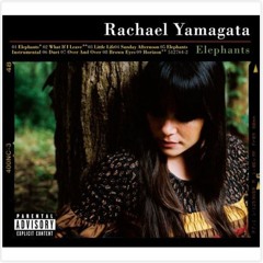 Duet - Rachael Yamagata (feat. Ray LaMontagne) guitar cover 듀엣 - 레이첼 야마가타 기타 커버