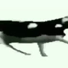 tylko jedno w głowie mam 1h