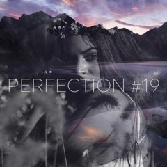 PERFECTION #19