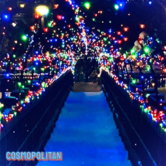 Cosmopolitan