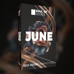 TECH HOUSE - MASHUP PACK | JUNE 2024 [20 TRACKS] Free Download