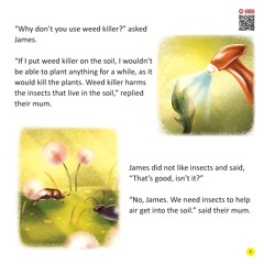 Go Green GROW your own food - Page 5