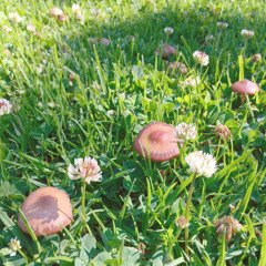 Made In Uchi // メイドインうち