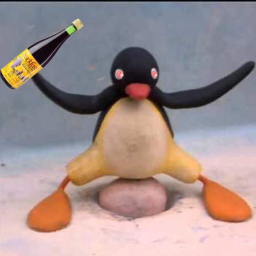 pingu on the sesh