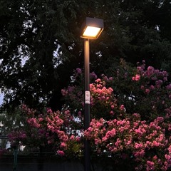 Dạo này em thế nào ?