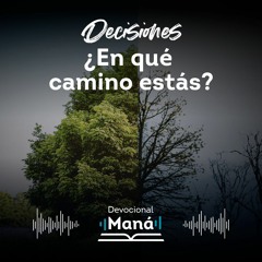 Devocional│DESCUBRE que CAMINO debes Escoger Vida o Muerte - DEVOCIONAL