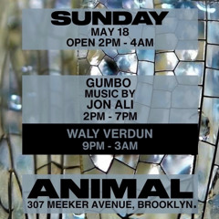 ANIMAL x Queer Market 05.18.2025 x Brooklyn