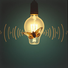 Signal Lost